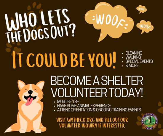 Volunteer at WCDS